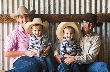 Home - Trio Angus - Angus Bulls for Sale - Cassilis, Upper Hunter, NSW