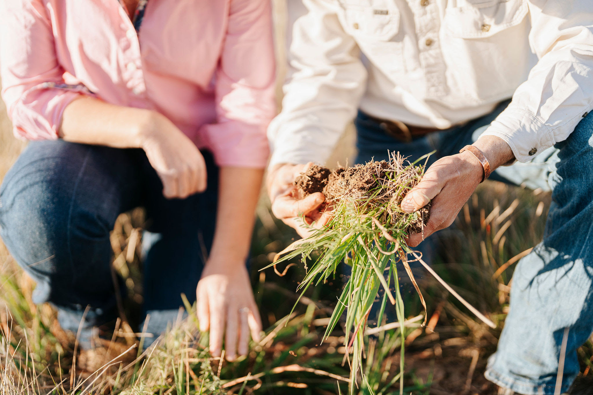 Farm Business bootcamp